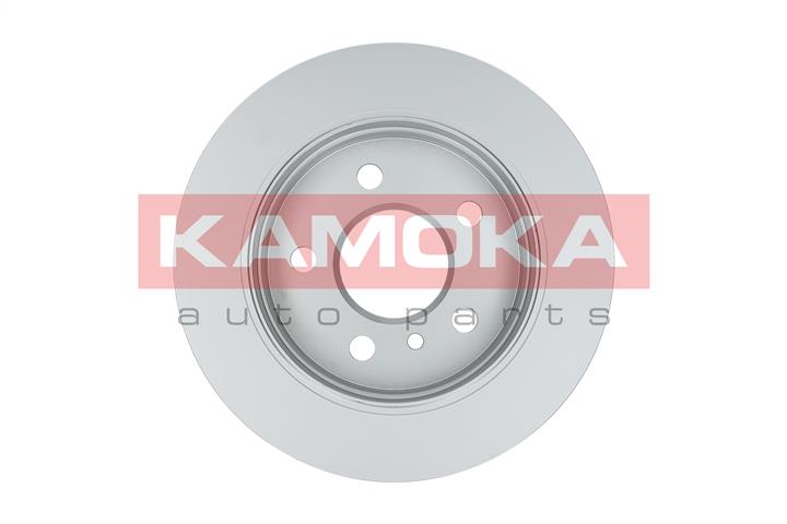 Kamoka 1032516 Диск гальмівний задній невентильований 1032516: Купити у Польщі - Добра ціна на 2407.PL!