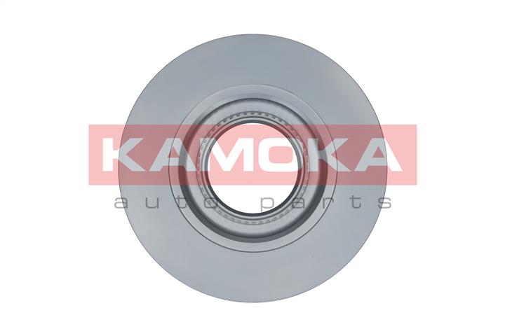 Kamoka 103202 Rear brake disc, non-ventilated 103202: Buy near me in Poland at 2407.PL - Good price!