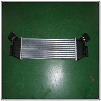 Ssang Yong 2371121051 Intercooler, charger 2371121051: Buy near me in Poland at 2407.PL - Good price!