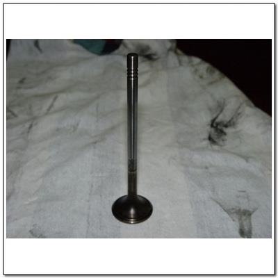 Ssang Yong 6650500127 Exhaust valve 6650500127: Buy near me in Poland at 2407.PL - Good price!