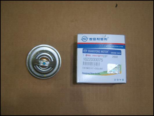 Ssang Yong 1622033075 Thermostat, coolant 1622033075: Buy near me at 2407.PL in Poland at an Affordable price!