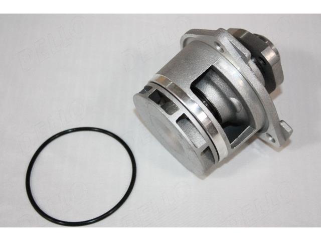 AutoMega 160096310 Water pump 160096310: Buy near me in Poland at 2407.PL - Good price!
