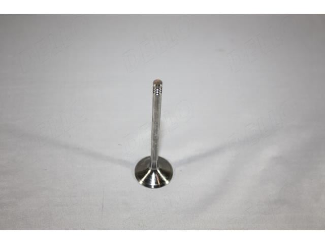 AutoMega 130106910 Intake valve 130106910: Buy near me at 2407.PL in Poland at an Affordable price!