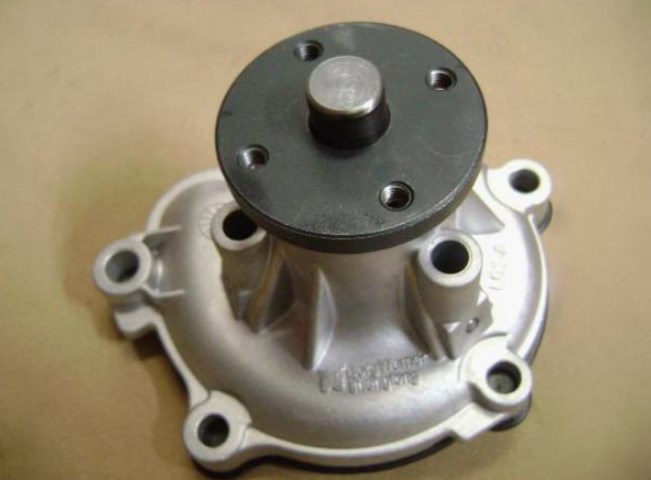 Great wall 1307020-E00 Water pump 1307020E00: Buy near me in Poland at 2407.PL - Good price!