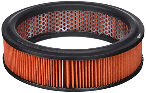 Nissan 16546-89W00 Air filter 1654689W00: Buy near me in Poland at 2407.PL - Good price!