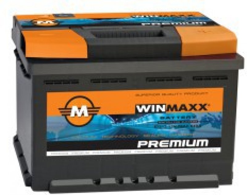Winmaxx 555019048 Аккумулятор Winmaxx ECO 12В 55Ач 480А(EN) R+ 555019048: Отличная цена - Купить в Польше на 2407.PL!