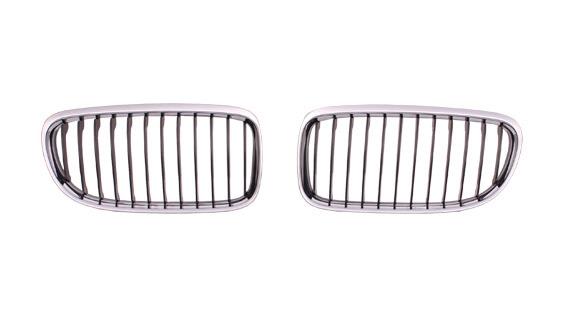 TYG BM07059GAR Grille radiator BM07059GAR: Buy near me in Poland at 2407.PL - Good price!