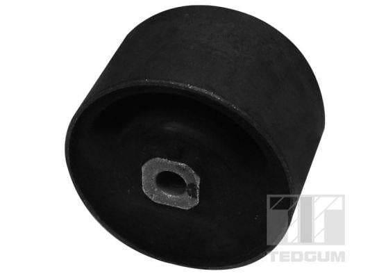 TedGum 00465454 Engine mount, rear 00465454: Buy near me in Poland at 2407.PL - Good price!