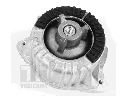 TedGum 00418473 Suspension 00418473: Buy near me at 2407.PL in Poland at an Affordable price!