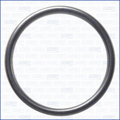Ajusa 18007600 Exhaust pipe gasket 18007600: Buy near me in Poland at 2407.PL - Good price!