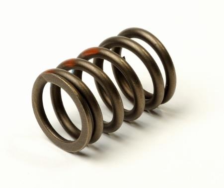 General Motors 90180310 Valve spring 90180310: Buy near me in Poland at 2407.PL - Good price!