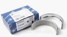 Kolbenschmidt 79395600 Main bearings, crankshaft, std 79395600: Buy near me in Poland at 2407.PL - Good price!