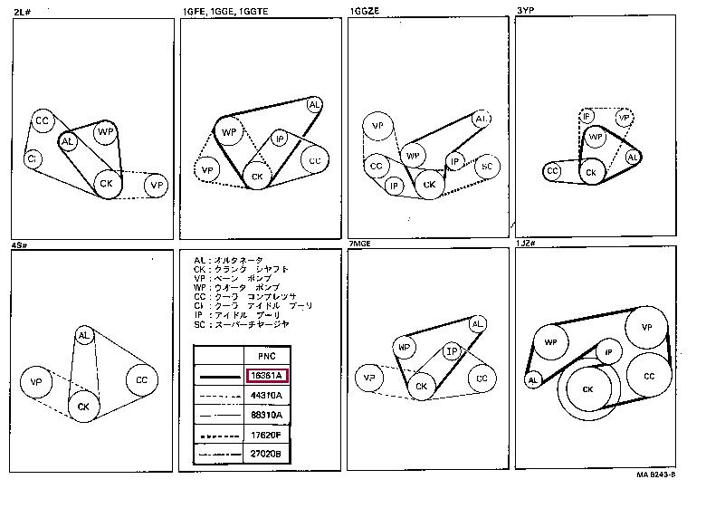 Toyota 90916-02146 Pasek klinowy wielorowkowy 9091602146: Dobra cena w Polsce na 2407.PL - Kup Teraz!