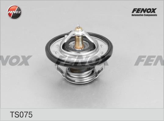 Fenox TS075 Thermostat, coolant TS075: Buy near me in Poland at 2407.PL - Good price!