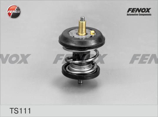 Fenox TS111 Thermostat, coolant TS111: Buy near me in Poland at 2407.PL - Good price!