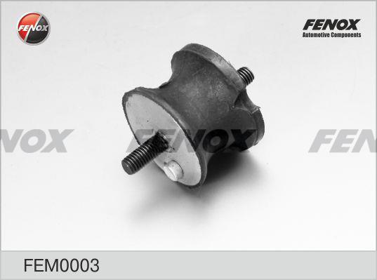 Fenox FEM0003 Getriebelager links, rechts FEM0003: Kaufen Sie zu einem guten Preis in Polen bei 2407.PL!