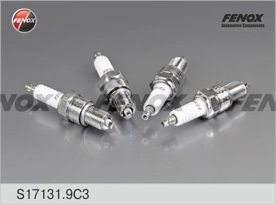 Fenox S17131.9C3 Свеча зажигания S171319C3: Отличная цена - Купить в Польше на 2407.PL!
