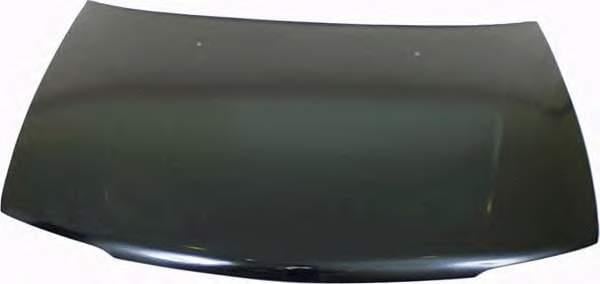 Mitsubishi MB861653 Hood MB861653: Buy near me at 2407.PL in Poland at an Affordable price!