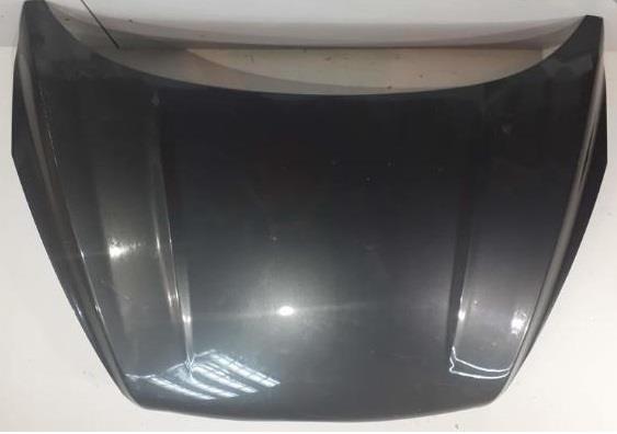 Ford 2 064 860 Hood 2064860: Buy near me in Poland at 2407.PL - Good price!