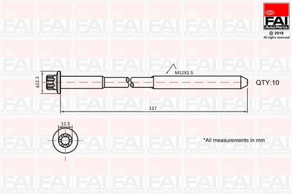 FAI B1018 Cylinder Head Bolts Kit B1018: Buy near me in Poland at 2407.PL - Good price!