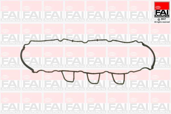FAI RC2241S Gasket, cylinder head cover RC2241S: Buy near me in Poland at 2407.PL - Good price!