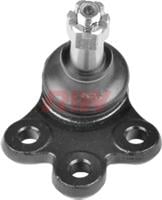 RIW Automotive CV1005 Ball joint CV1005: Buy near me in Poland at 2407.PL - Good price!