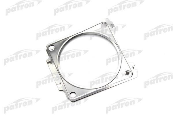 Patron PG5-2079 Front exhaust pipe PG52079: Buy near me in Poland at 2407.PL - Good price!