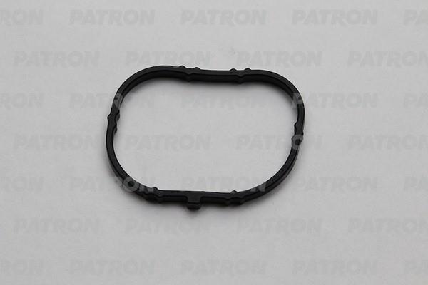 Patron PG5-1029 Intake manifold housing gasket PG51029: Buy near me in Poland at 2407.PL - Good price!