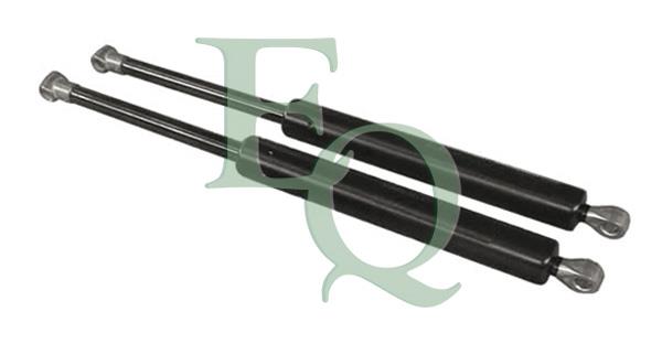 Equal quality MG16031 Gas Spring, boot-/cargo area MG16031: Buy near me in Poland at 2407.PL - Good price!