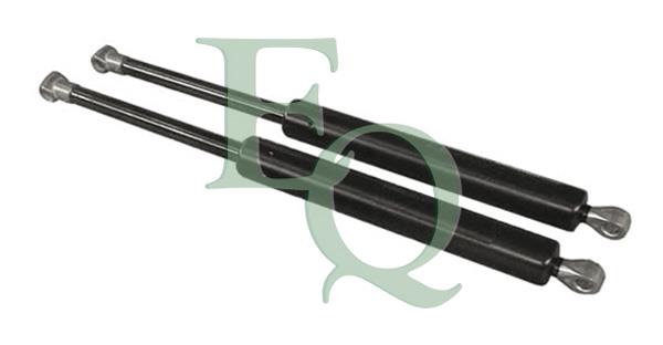 Equal quality MG29031 Gas Spring, boot-/cargo area MG29031: Buy near me in Poland at 2407.PL - Good price!