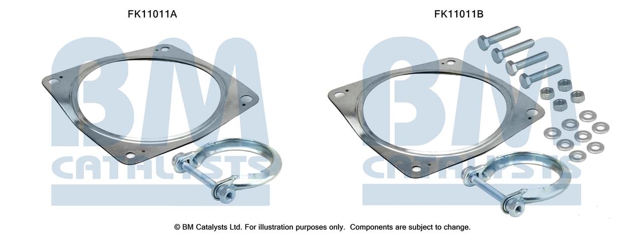 BM Catalysts FK11011 Dieselpartikelfilter DPF FK11011: Kaufen Sie zu einem guten Preis in Polen bei 2407.PL!