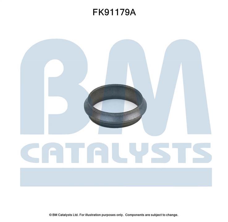 BM Catalysts FK91179 Zestaw montazowy, katalizator FK91179: Dobra cena w Polsce na 2407.PL - Kup Teraz!