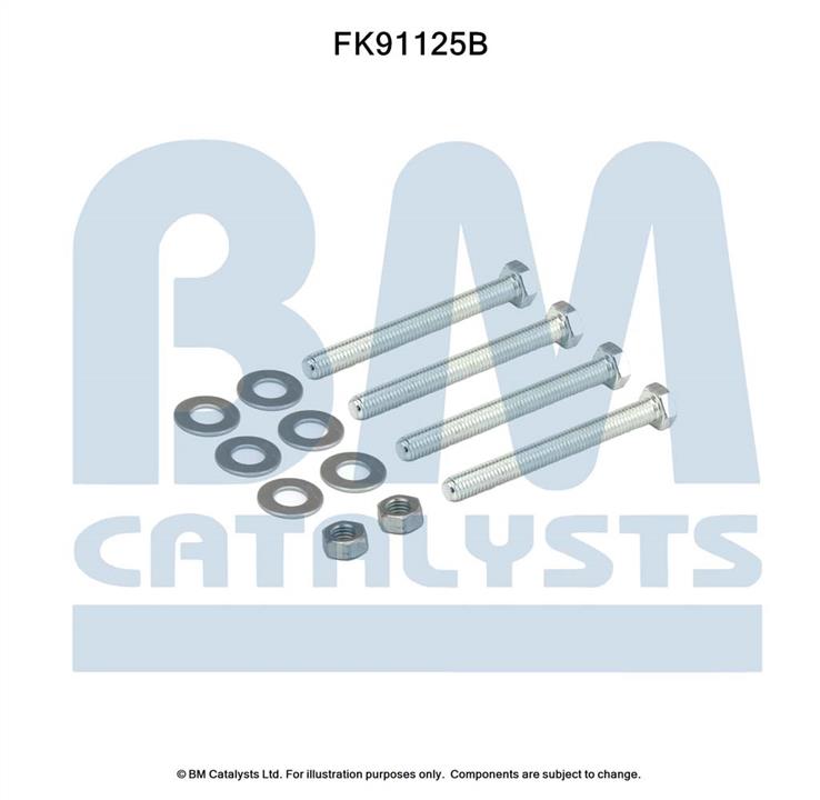 BM Catalysts FK91125 Комплект для монтажу, каталізатор FK91125: Приваблива ціна - Купити у Польщі на 2407.PL!