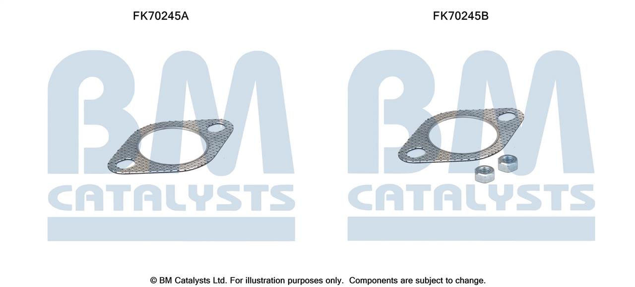 BM Catalysts FK70245 Mounting kit for exhaust system FK70245: Buy near me in Poland at 2407.PL - Good price!