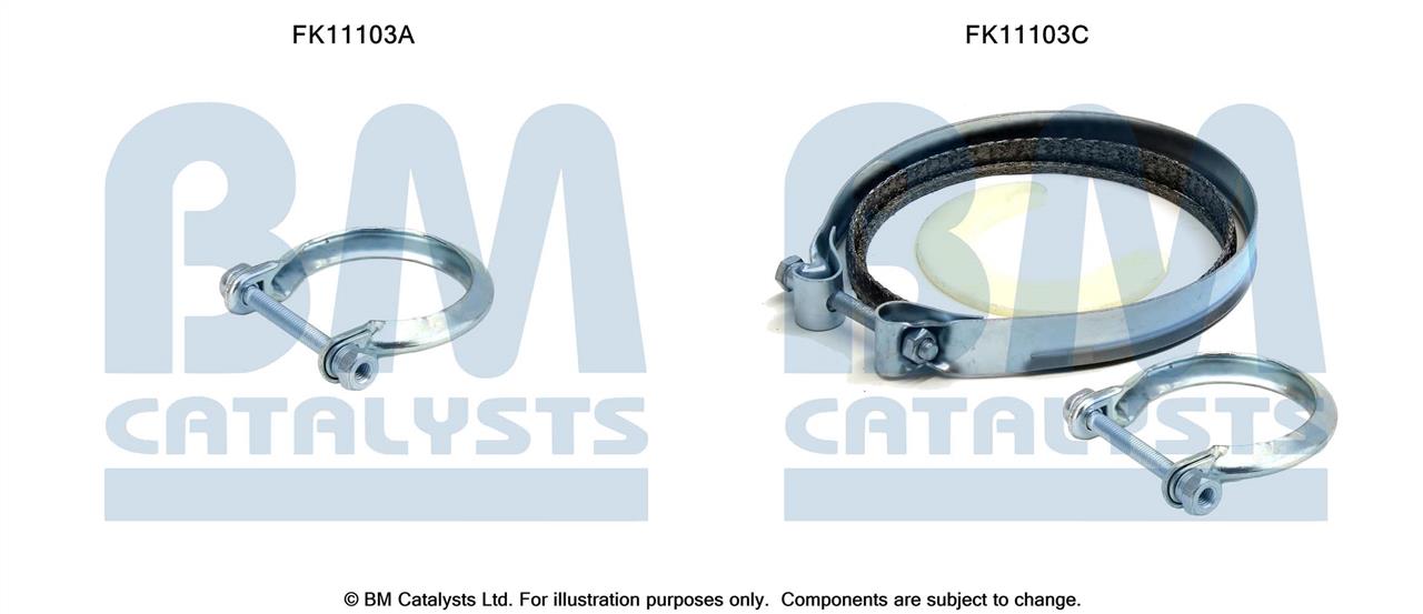 BM Catalysts FK11103 Diesel particulate filter DPF FK11103: Buy near me in Poland at 2407.PL - Good price!