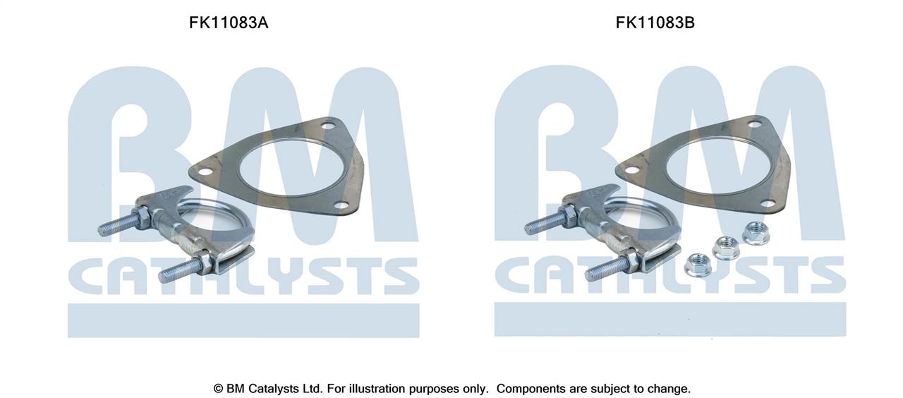 BM Catalysts FK11083 Diesel particulate filter DPF FK11083: Buy near me in Poland at 2407.PL - Good price!
