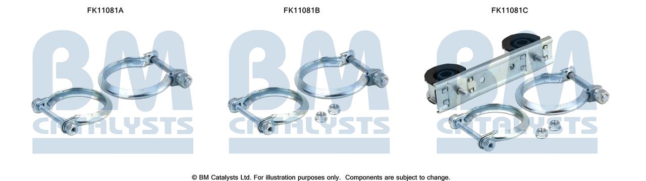 BM Catalysts FK11081 Фильтр сажевый DPF FK11081: Отличная цена - Купить в Польше на 2407.PL!
