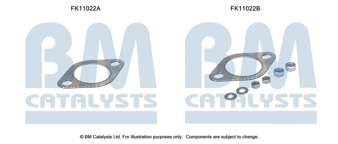 BM Catalysts FK11022 Фильтр сажевый DPF FK11022: Купить в Польше - Отличная цена на 2407.PL!