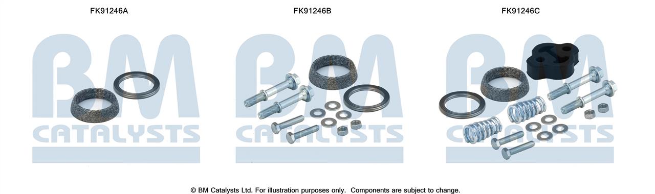 BM Catalysts FK91246 Монтажный комплект, катализатор FK91246: Отличная цена - Купить в Польше на 2407.PL!