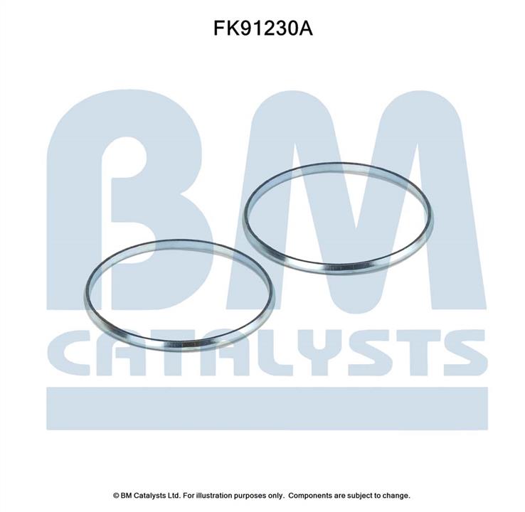 BM Catalysts FK91230 Монтажный комплект, катализатор FK91230: Купить в Польше - Отличная цена на 2407.PL!
