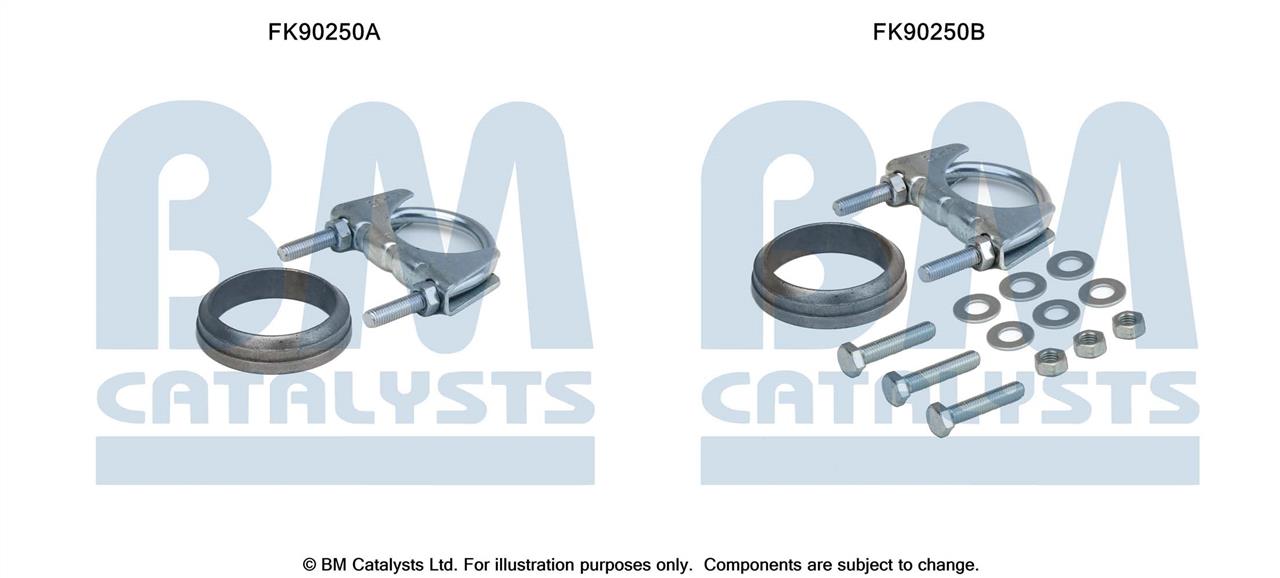 BM Catalysts FK90250 Montagesatz, Katalysator FK90250: Bestellen Sie in Polen zu einem guten Preis bei 2407.PL!