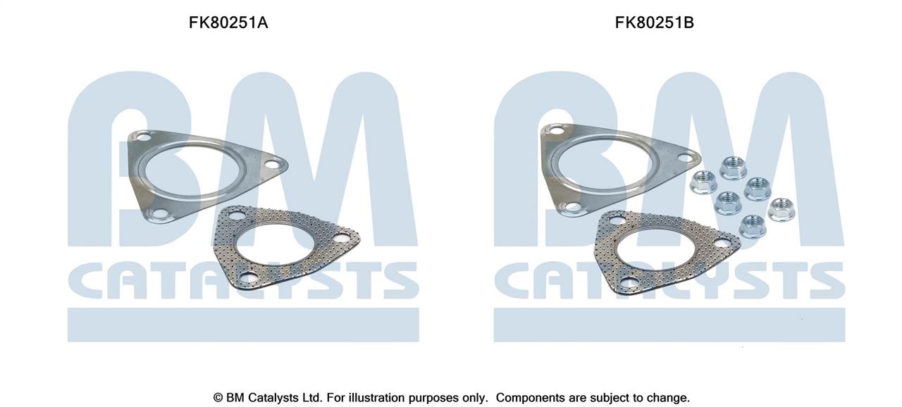 BM Catalysts FK80251 Монтажный комплект, катализатор FK80251: Отличная цена - Купить в Польше на 2407.PL!