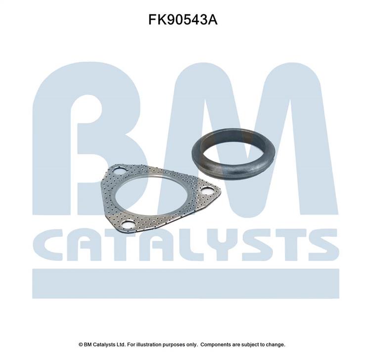 BM Catalysts FK90543 Комплект для монтажу, каталізатор FK90543: Приваблива ціна - Купити у Польщі на 2407.PL!