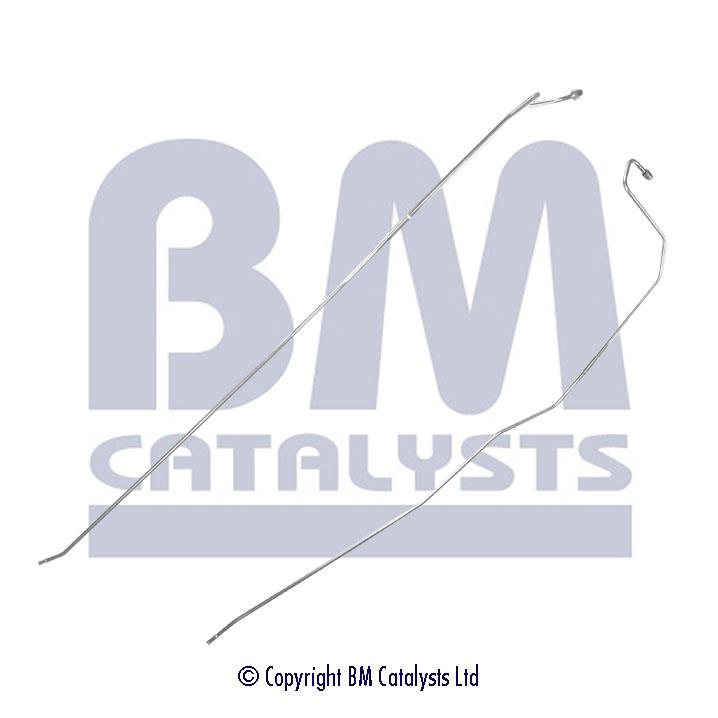 BM Catalysts PP11091B Diesel particulate filter DPF PP11091B: Buy near me in Poland at 2407.PL - Good price!