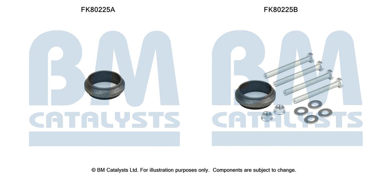 BM Catalysts FK80225 Монтажный комплект, катализатор FK80225: Отличная цена - Купить в Польше на 2407.PL!