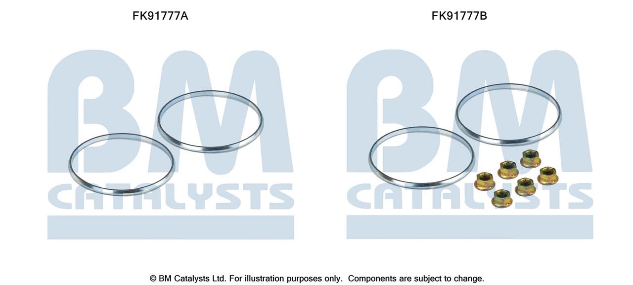 BM Catalysts FK91777 Zestaw montażowy, katalizator FK91777: Atrakcyjna cena w Polsce na 2407.PL - Zamów teraz!