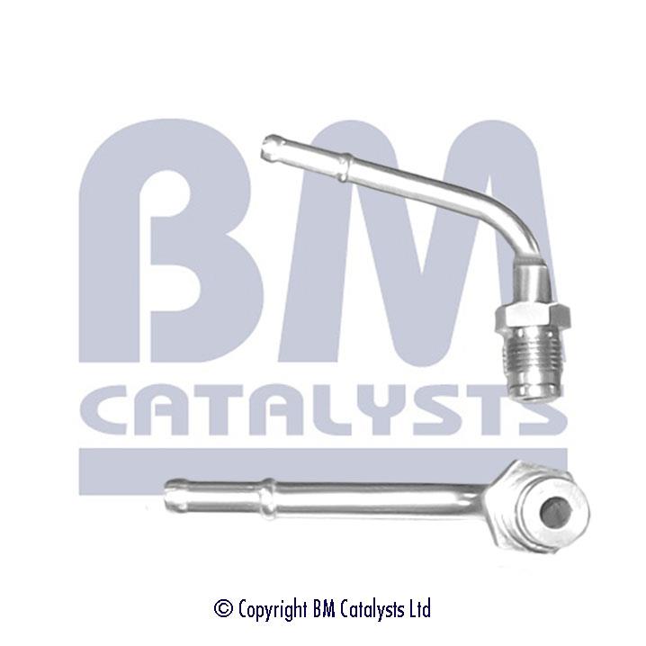 BM Catalysts PP11081A Diesel particulate filter DPF PP11081A: Buy near me in Poland at 2407.PL - Good price!