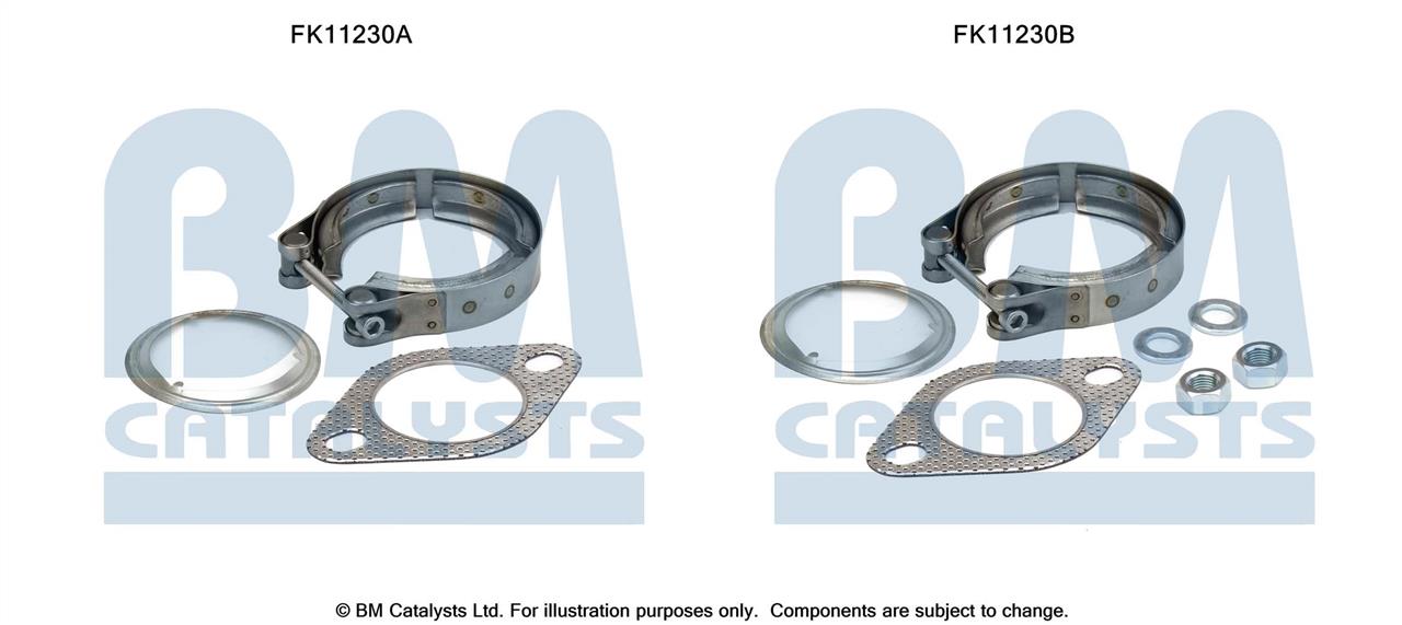 BM Catalysts FK11230 Diesel particulate filter DPF FK11230: Buy near me at 2407.PL in Poland at an Affordable price!