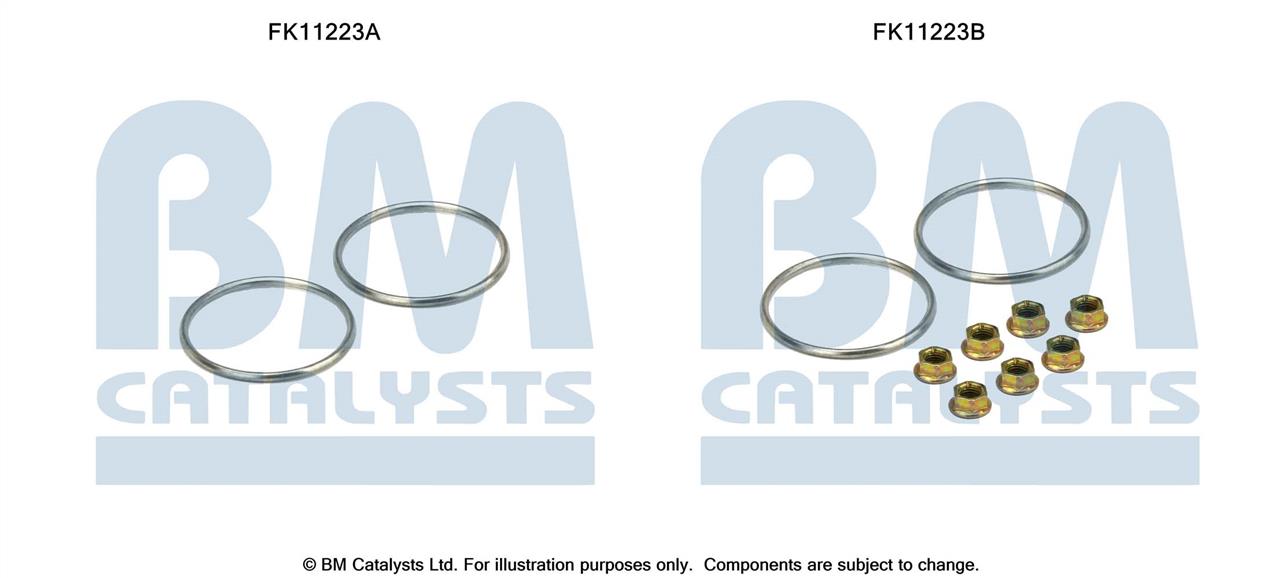 BM Catalysts FK11223 Dieselpartikelfilter DPF FK11223: Kaufen Sie zu einem guten Preis in Polen bei 2407.PL!