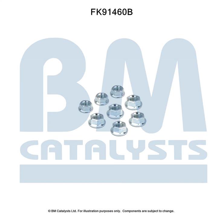 BM Catalysts FK91460 Montagesatz, Katalysator FK91460: Kaufen Sie zu einem guten Preis in Polen bei 2407.PL!